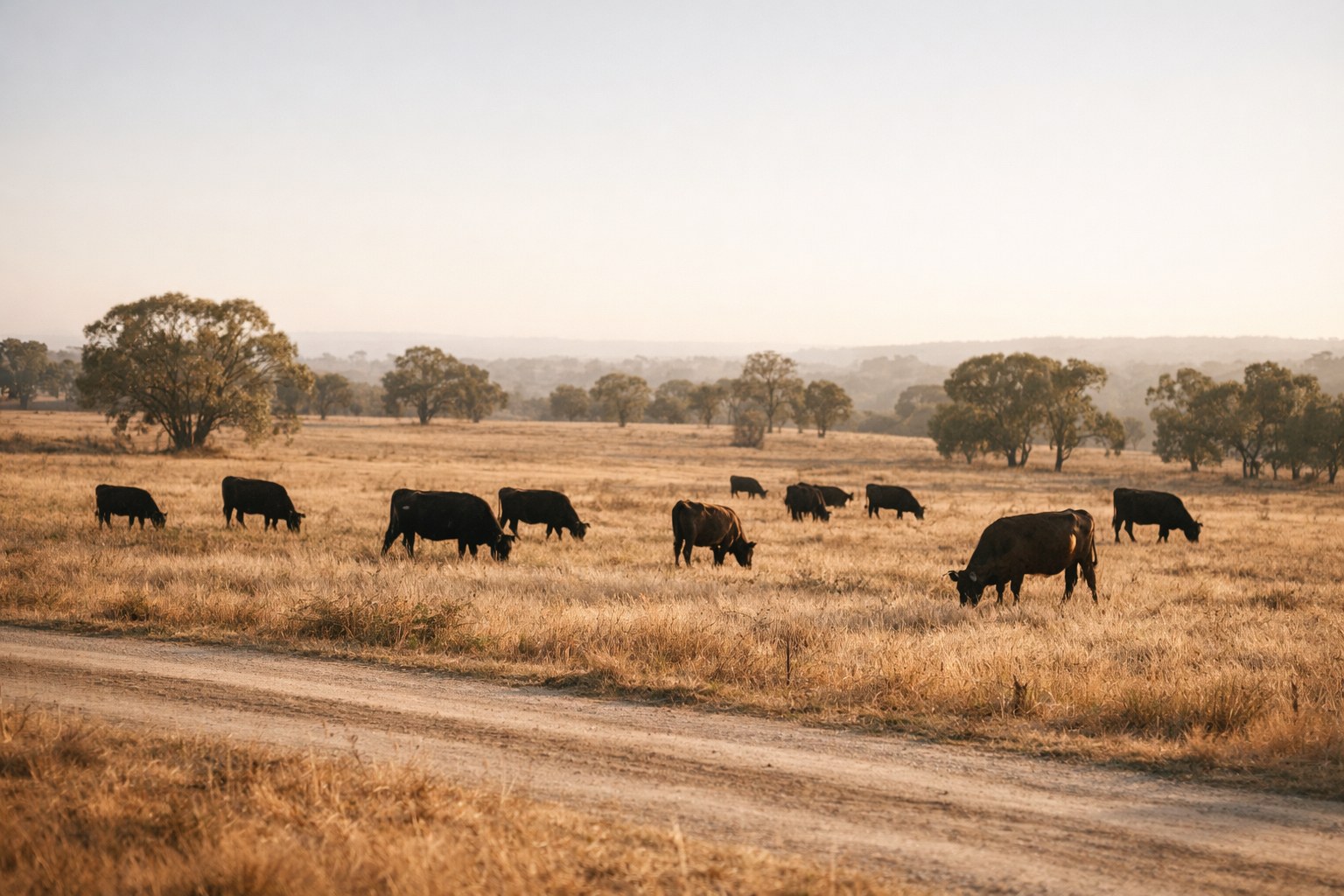 Fifteen Years On: What Australia's Food Security Report Got Right, And What It Got Wrong